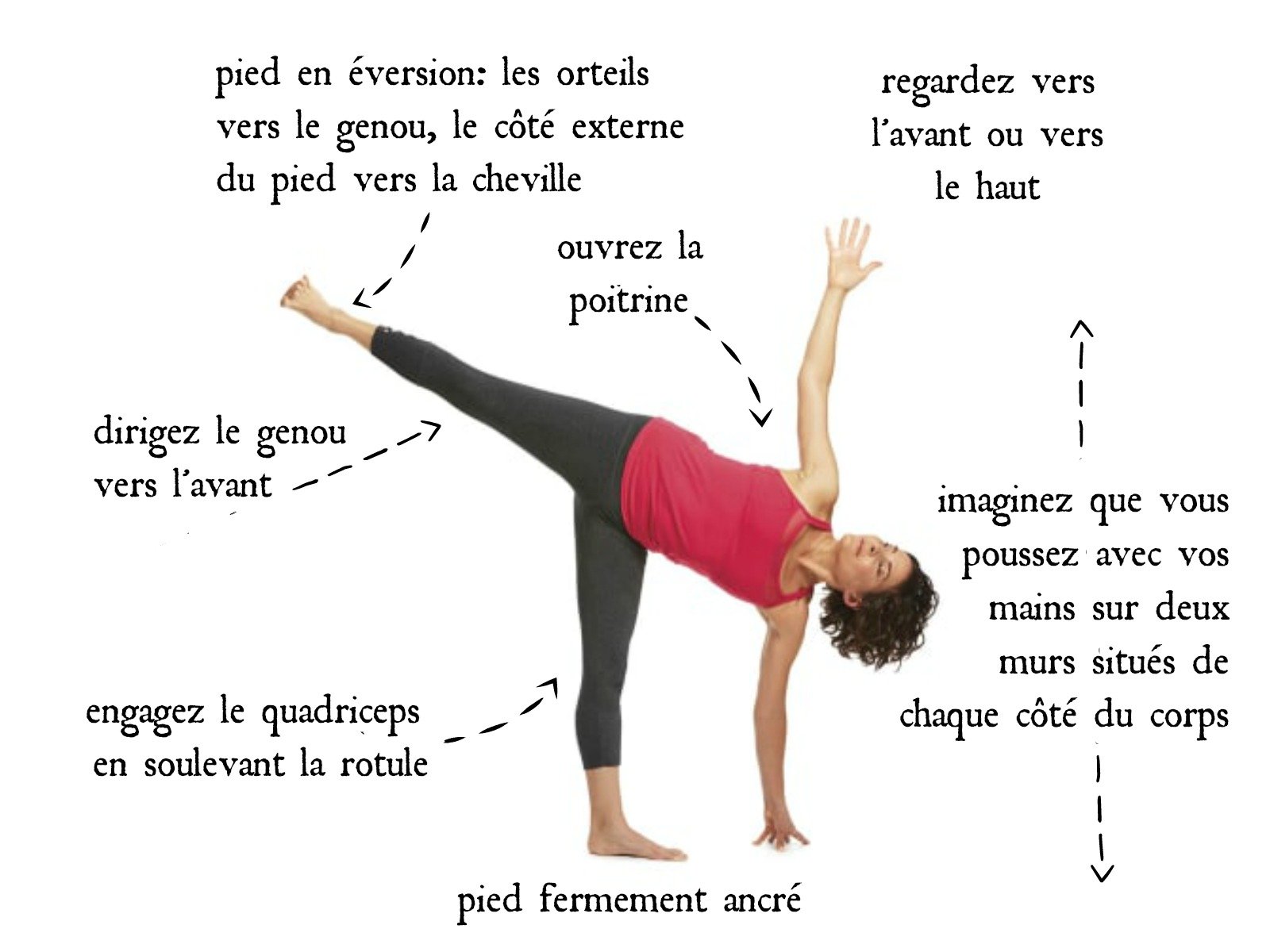 Yoga de pose de demi-lune (Ardha Chandrasana